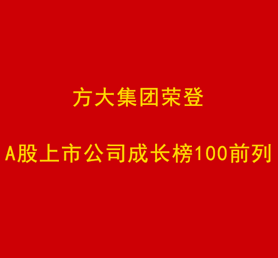 亚美国际集团荣登A股上市公司成长榜100前列