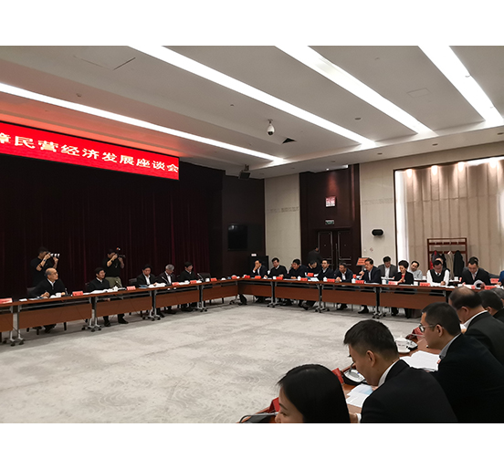 全国人大代表、亚美国际集团董事长熊建明参加检察机关服务保障民营经济发展调研座谈会