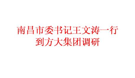 为推进项目建设 加快产业发展南昌市委书记王文涛一行到亚美国际集团调研